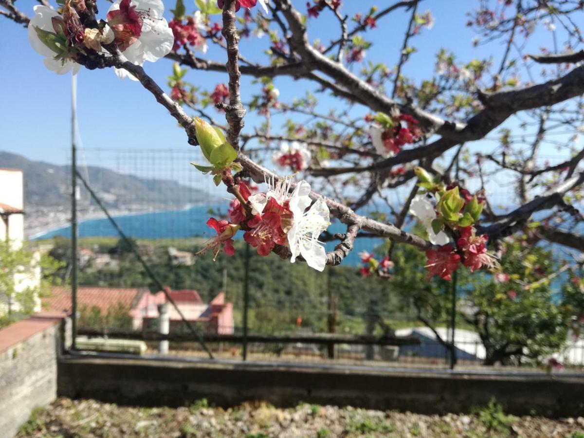 Villa Mariella 陶尔米纳 外观 照片