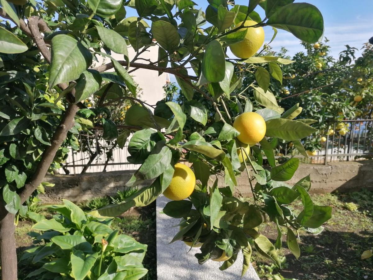 Villa Mariella 陶尔米纳 外观 照片